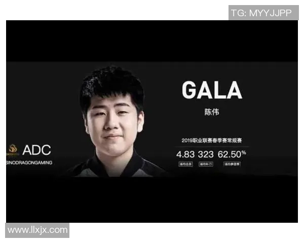 陈伟畅谈王者荣耀发展历程与未来展望的深度专访回顾