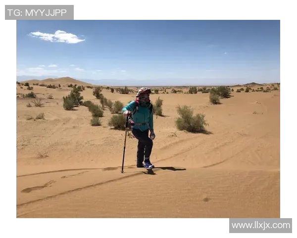 深度探讨李强在王者荣耀中的成长与挑战之路