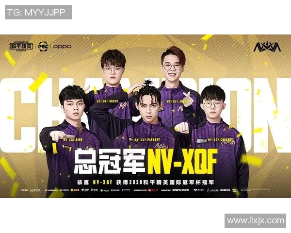 和平精英战术IG反击体系解析与实战应用技巧分享实时新闻